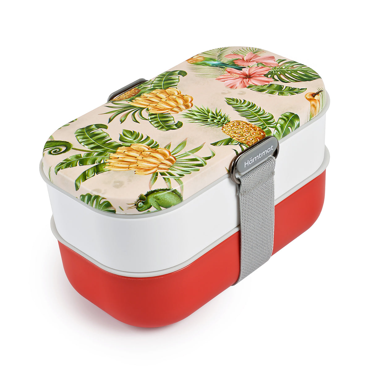 Vegan Bento Box - Gathering Dreams